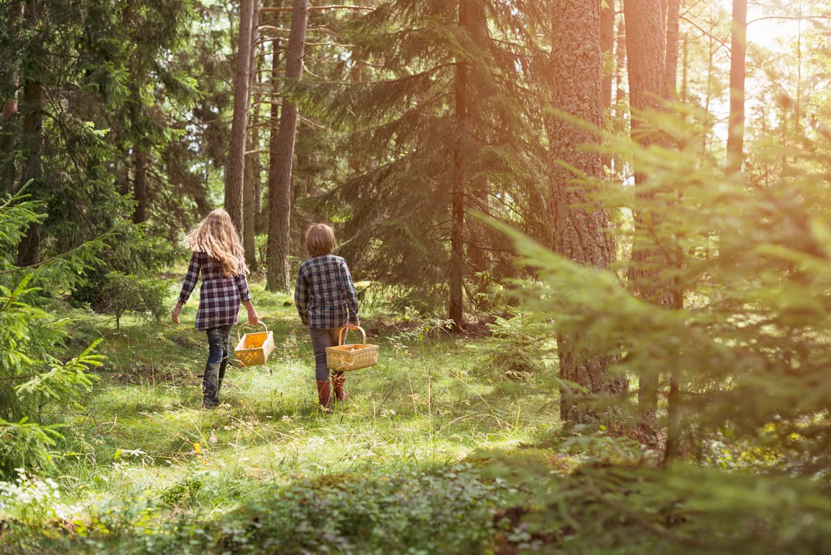 Två personer med korgar i skogen